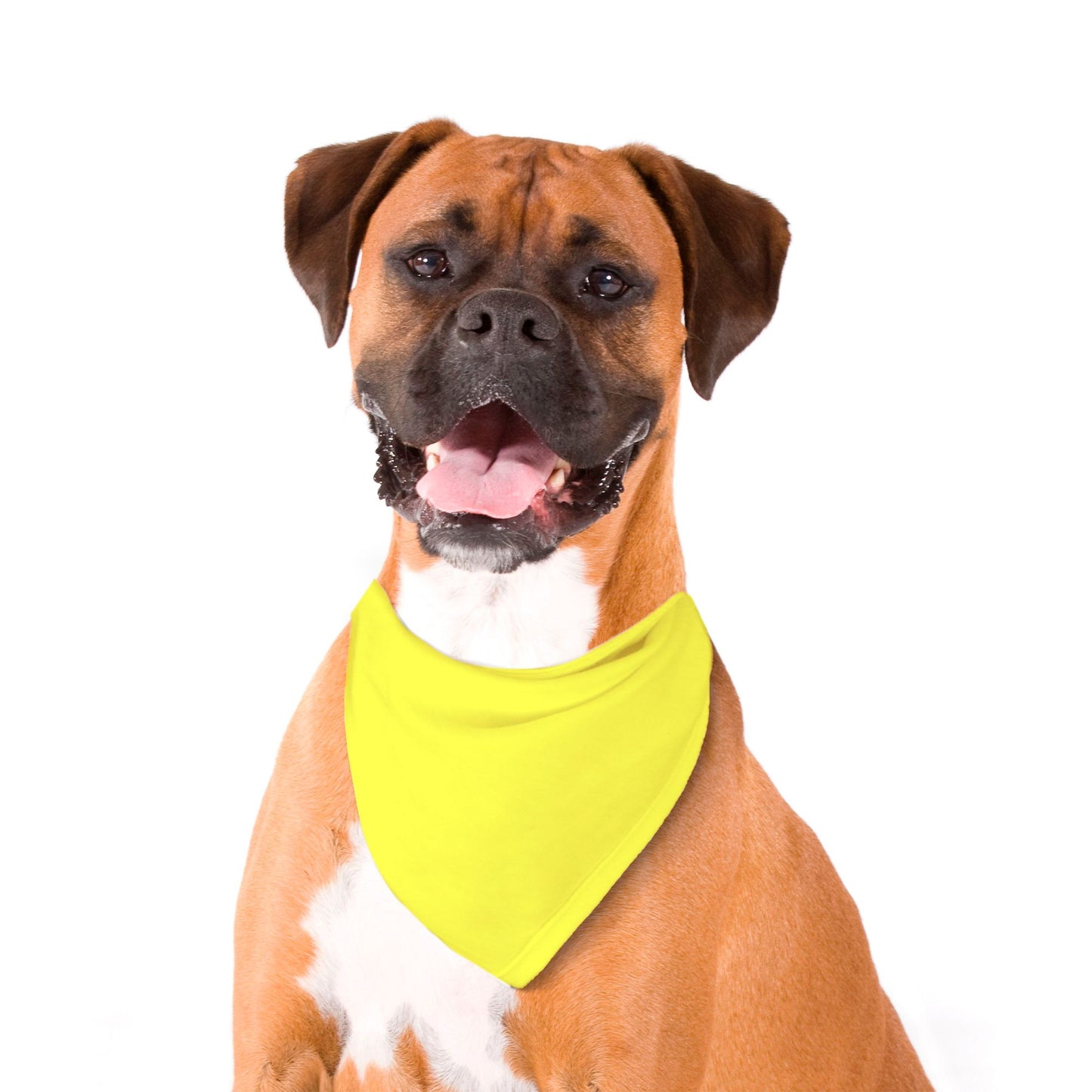 Solid Yellow Dog Bandana - Apawry Pup