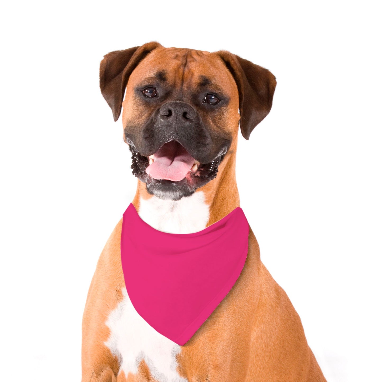 Solid Fuschia Dog Bandana - Apawry Pup