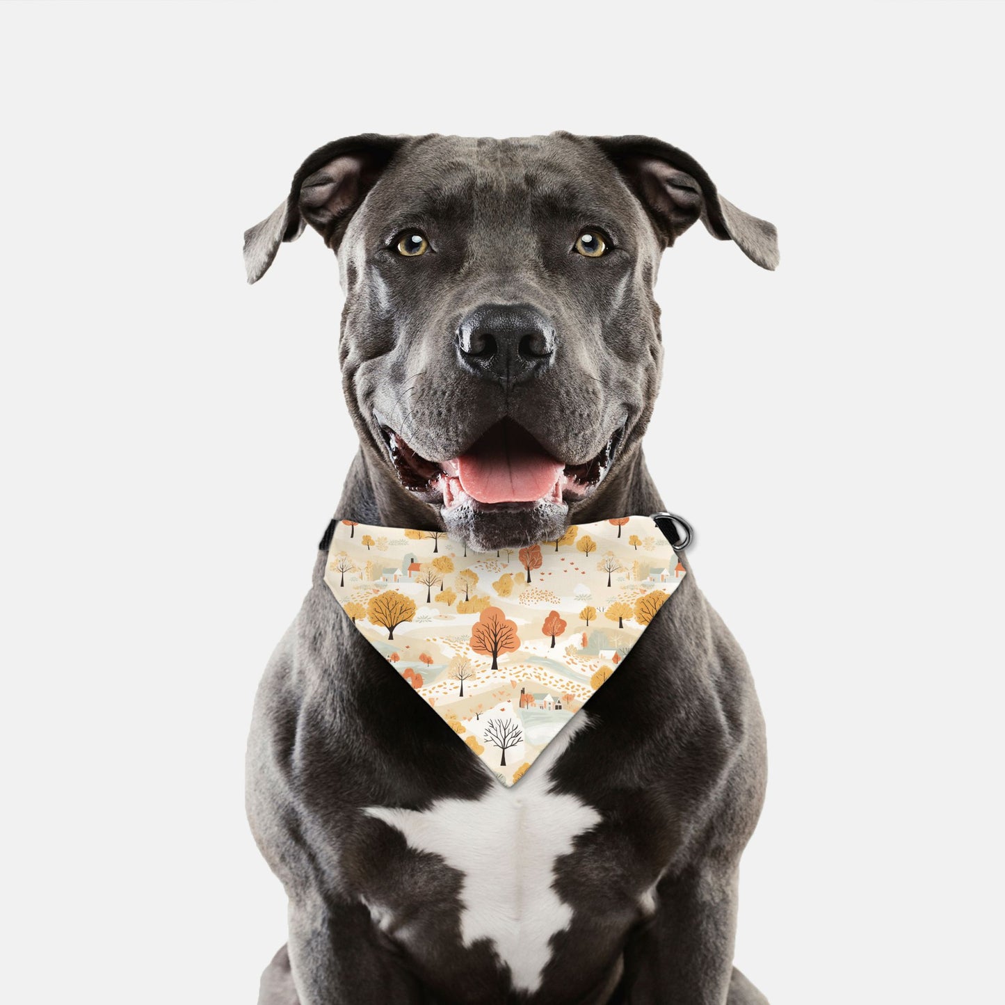 Fall Home Sweet Home Adjustable Collar Dog Bandana - Apawry Pup