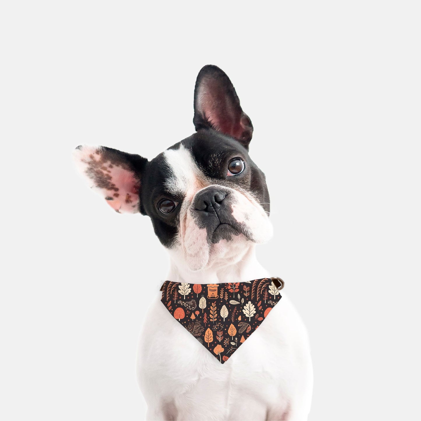 Fall Sweater Weather Adjustable Collar Dog Bandana - Apawry Pup