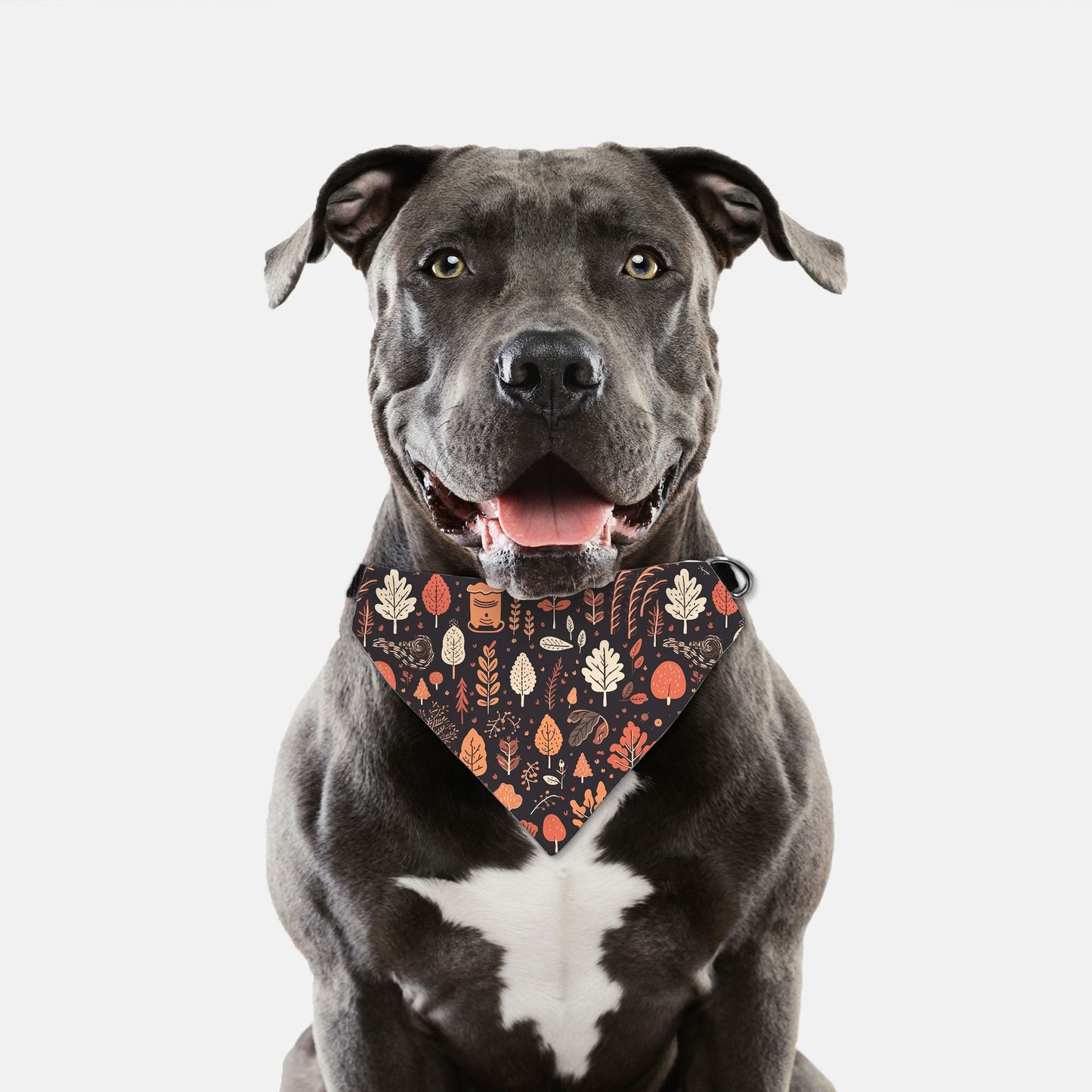 Fall Sweater Weather Adjustable Collar Dog Bandana - Apawry Pup