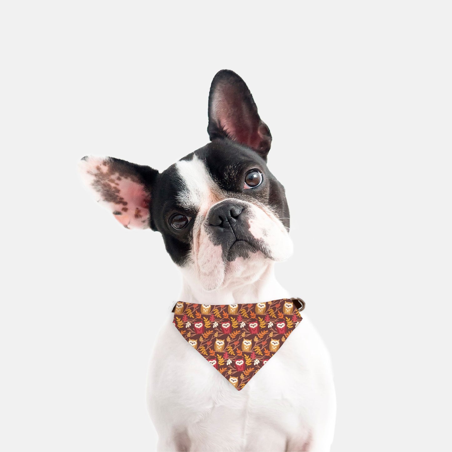 Fall Owls Adjustable Collar Dog Bandana - Apawry Pup