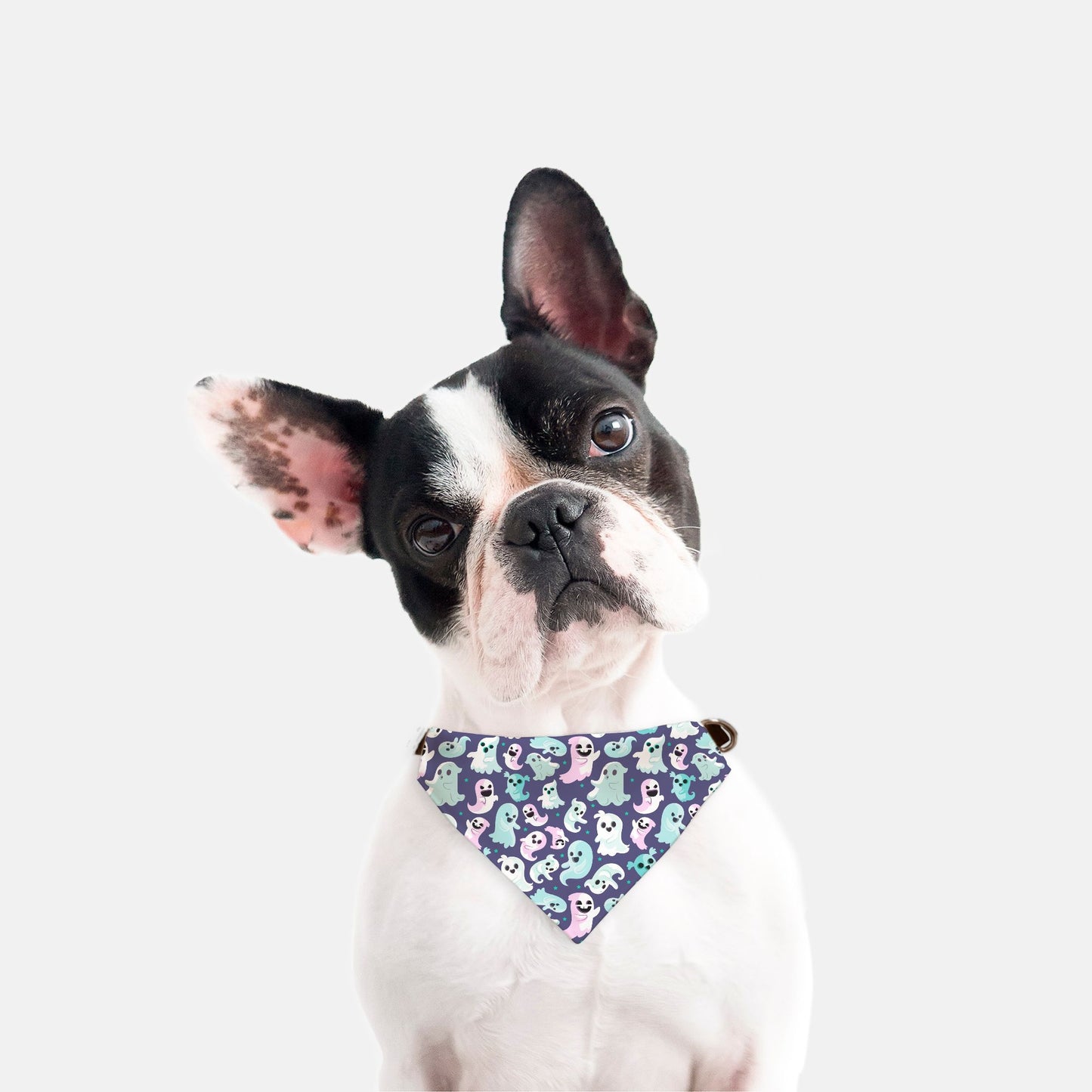 Halloween Ghosts Adjustable Collar Dog Bandana - Apawry Pup