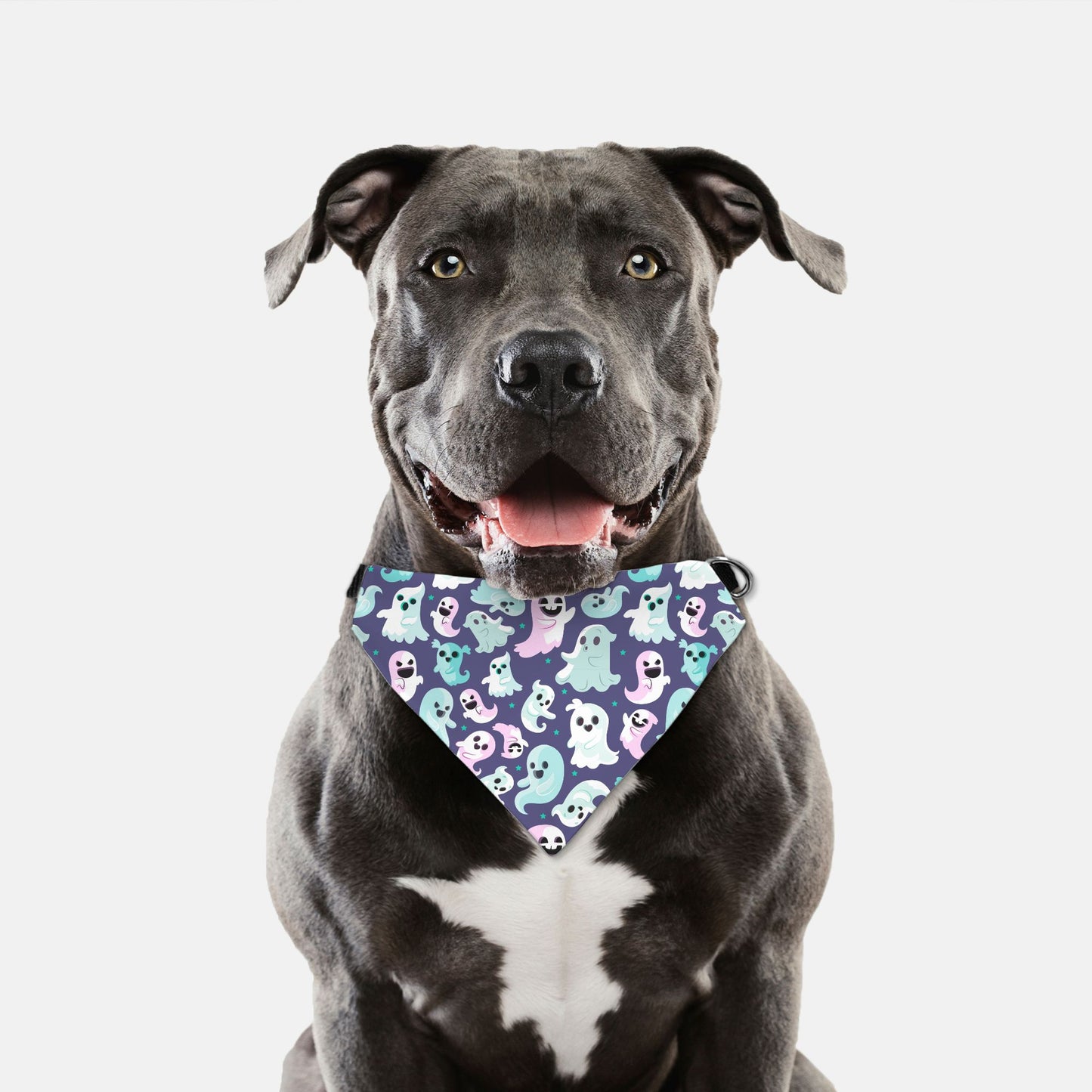 Halloween Ghosts Adjustable Collar Dog Bandana - Apawry Pup