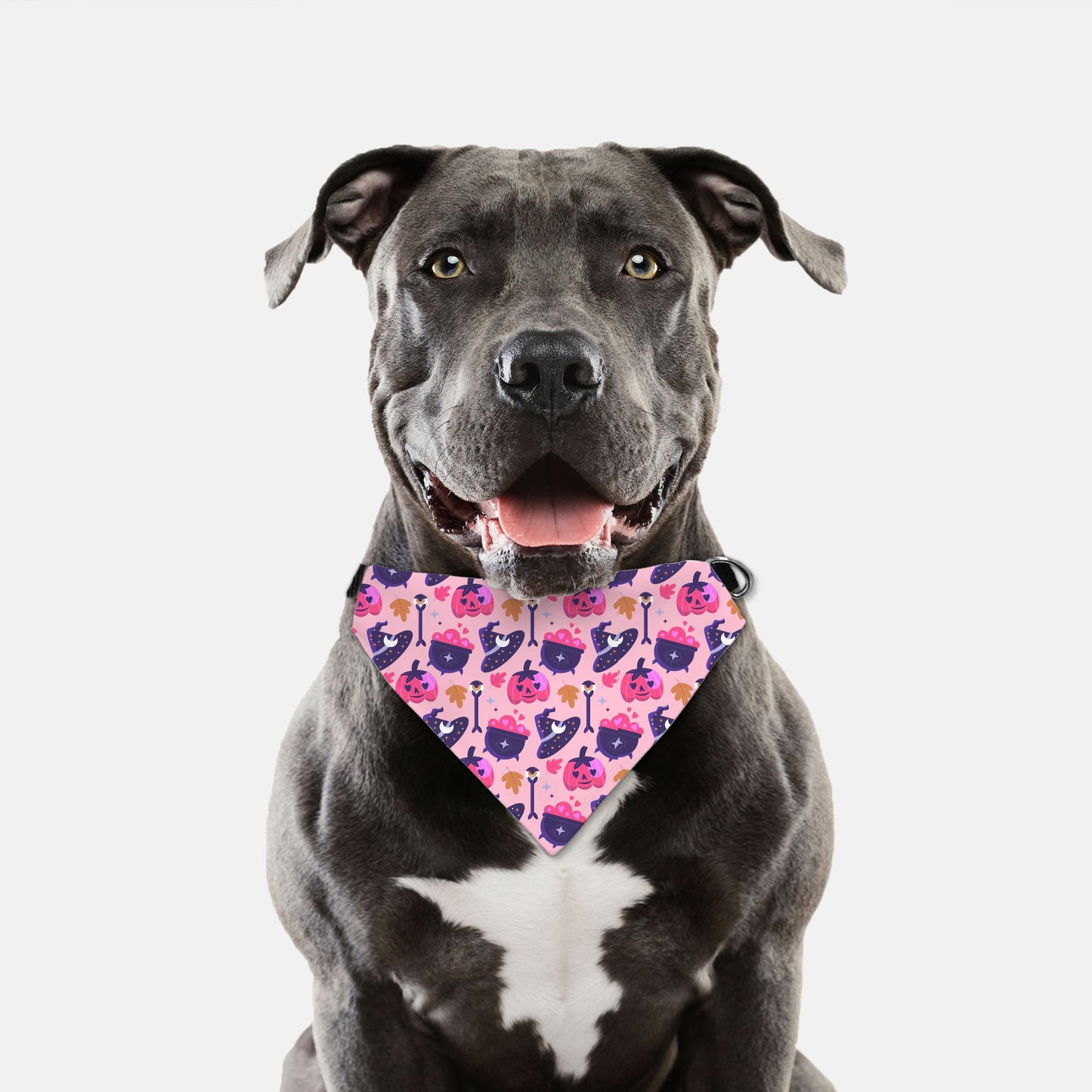 Halloween Witching Hour Adjustable Collar Dog Bandana - Apawry Pup
