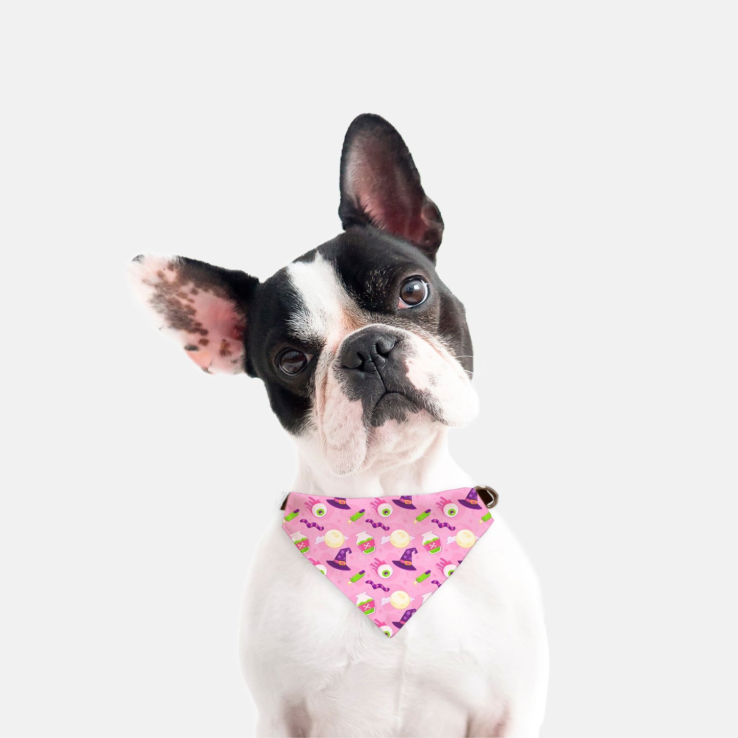 Halloween Witch's Potion Adjustable Collar Dog Bandana - Apawry Pup