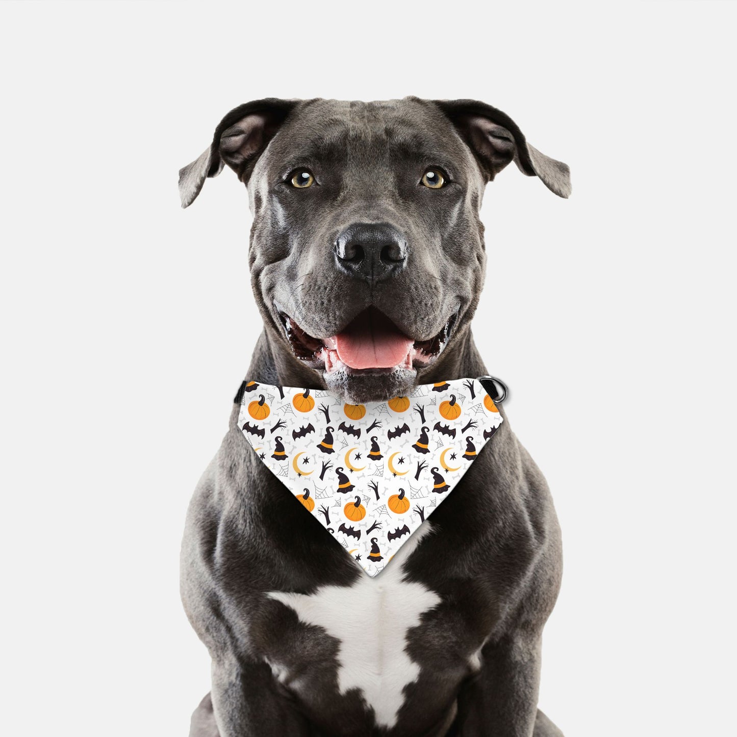 Halloween Ghouls & Pumpkins Adjustable Collar Dog Bandana - Apawry Pup