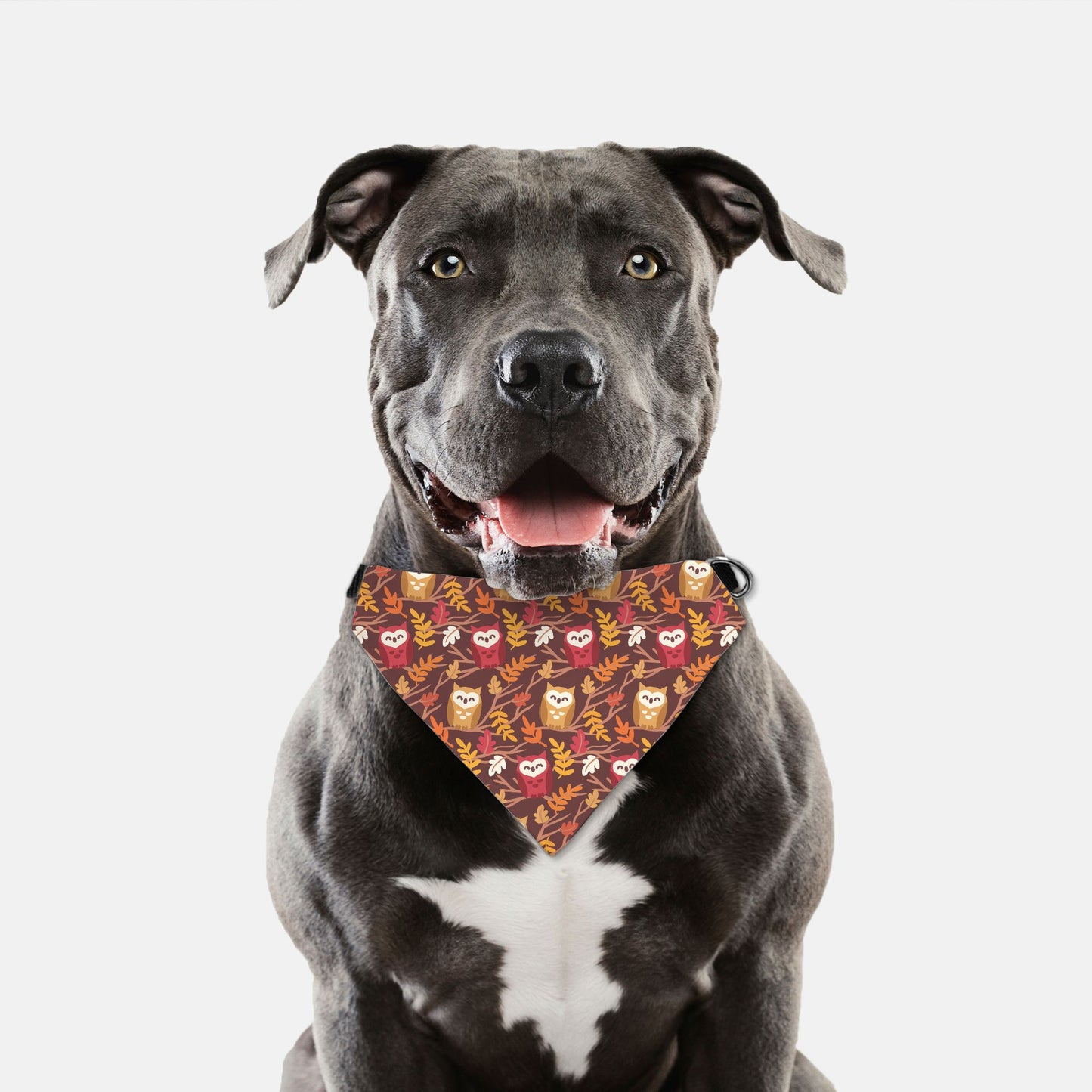Fall Owls Adjustable Collar Dog Bandana - Apawry Pup