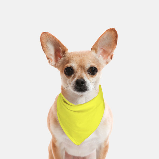 Solid Yellow Dog Bandana - Apawry Pup