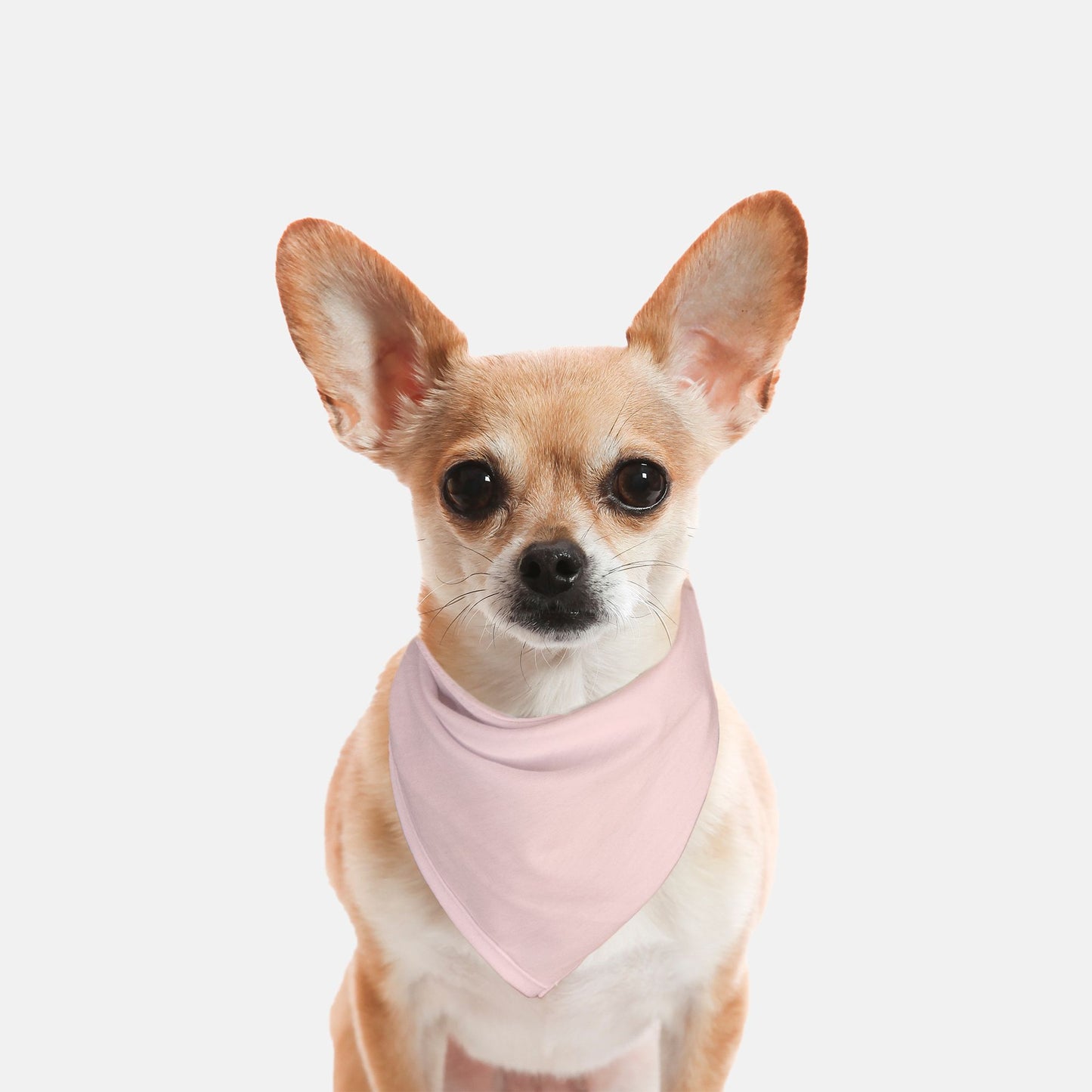 Solid Soft Pink Dog Bandana - Apawry Pup