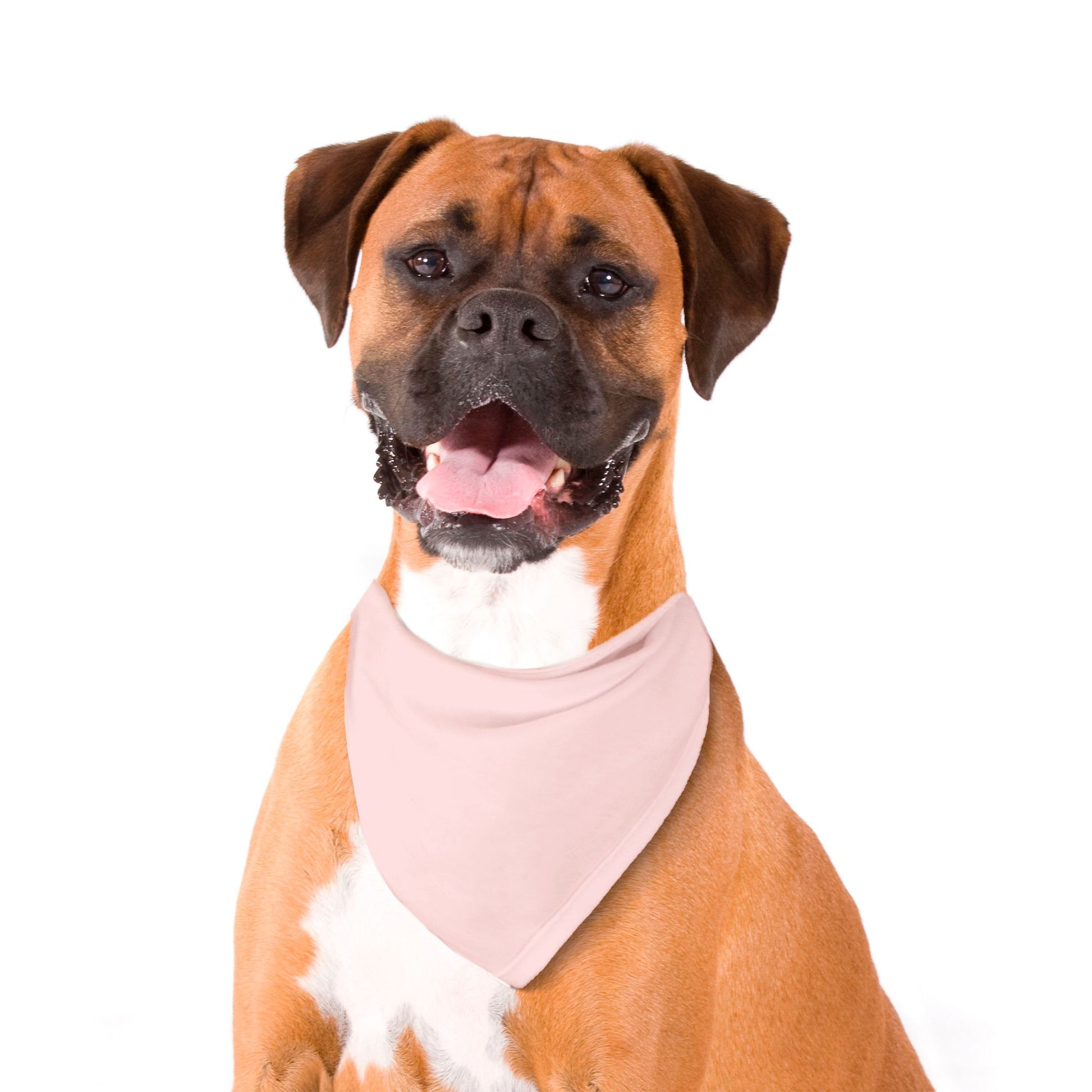 Solid Soft Pink Dog Bandana - Apawry Pup