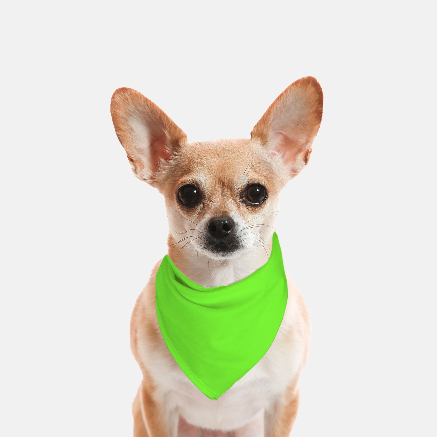 Solid Lime Green Dog Bandana - Apawry Pup