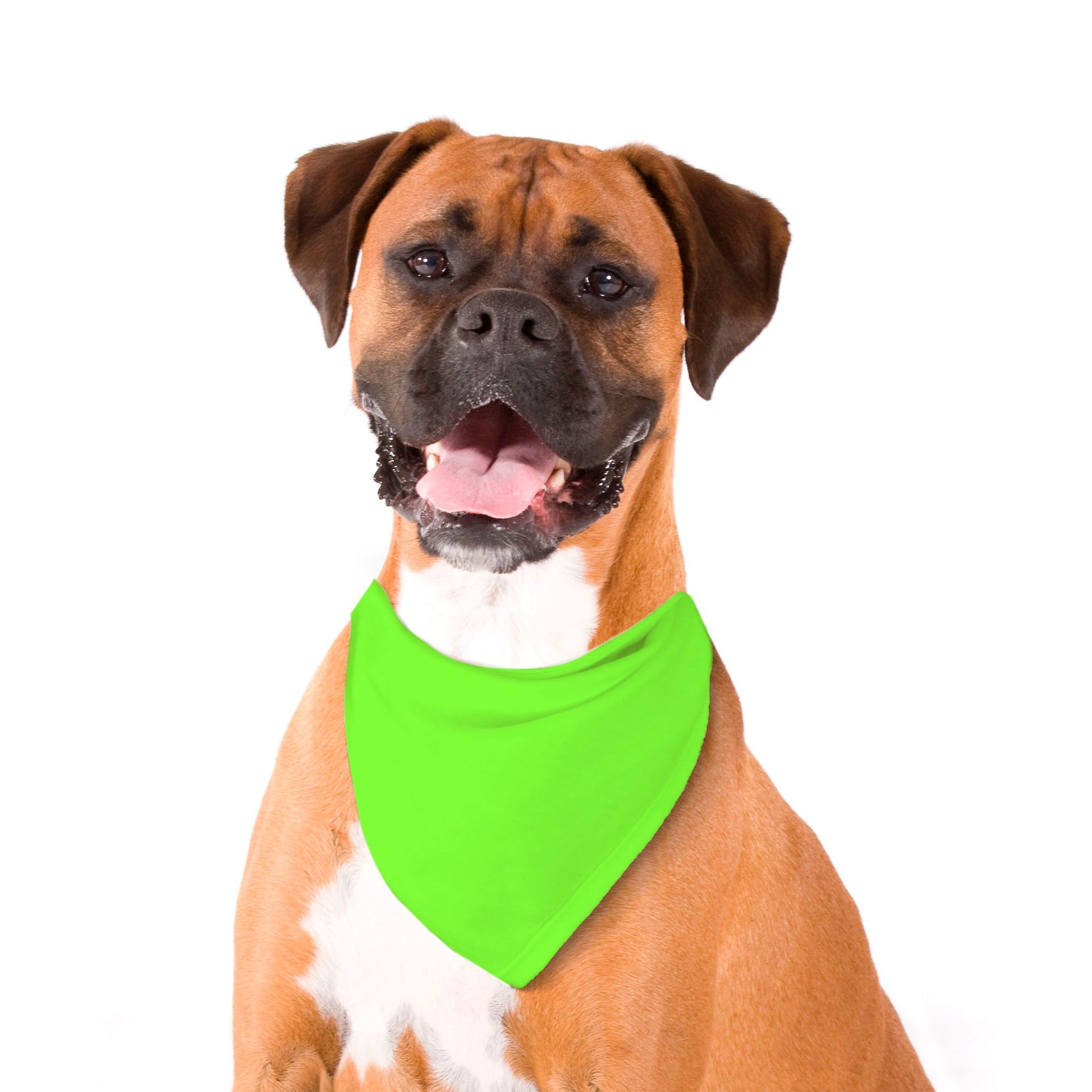 Solid Lime Green Dog Bandana - Apawry Pup