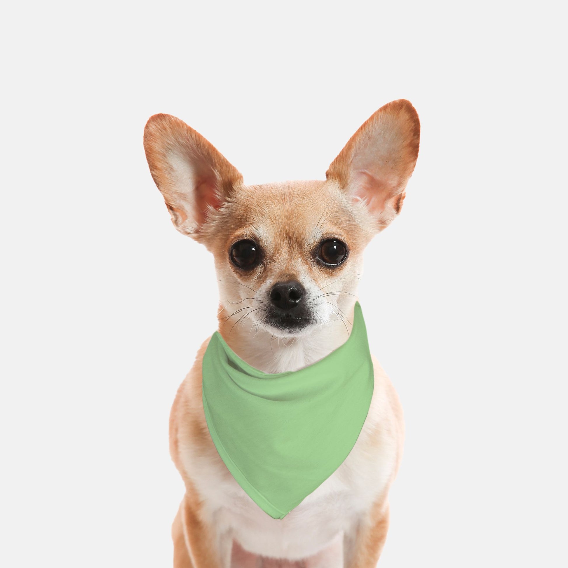 Solid Sea Foam Green Dog Bandana - Apawry Pup