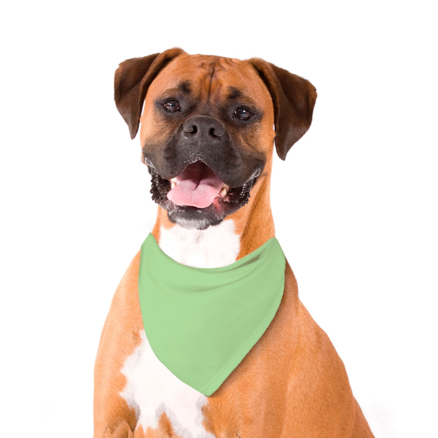 Solid Sea Foam Green Dog Bandana - Apawry Pup