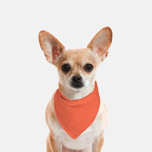 Solid Coral Dog Bandana - Apawry Pup