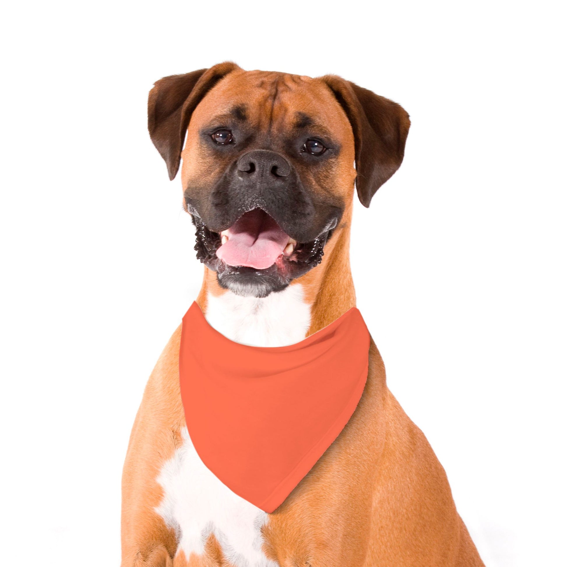 Solid Coral Dog Bandana - Apawry Pup