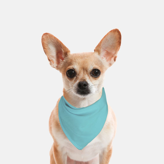 Solid Sky Blue Dog Bandana - Apawry Pup