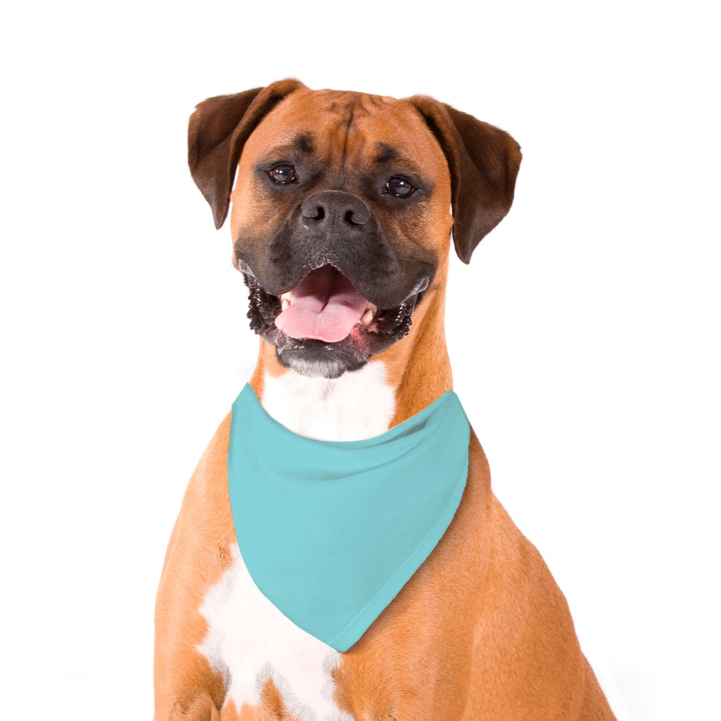 Solid Sky Blue Dog Bandana - Apawry Pup