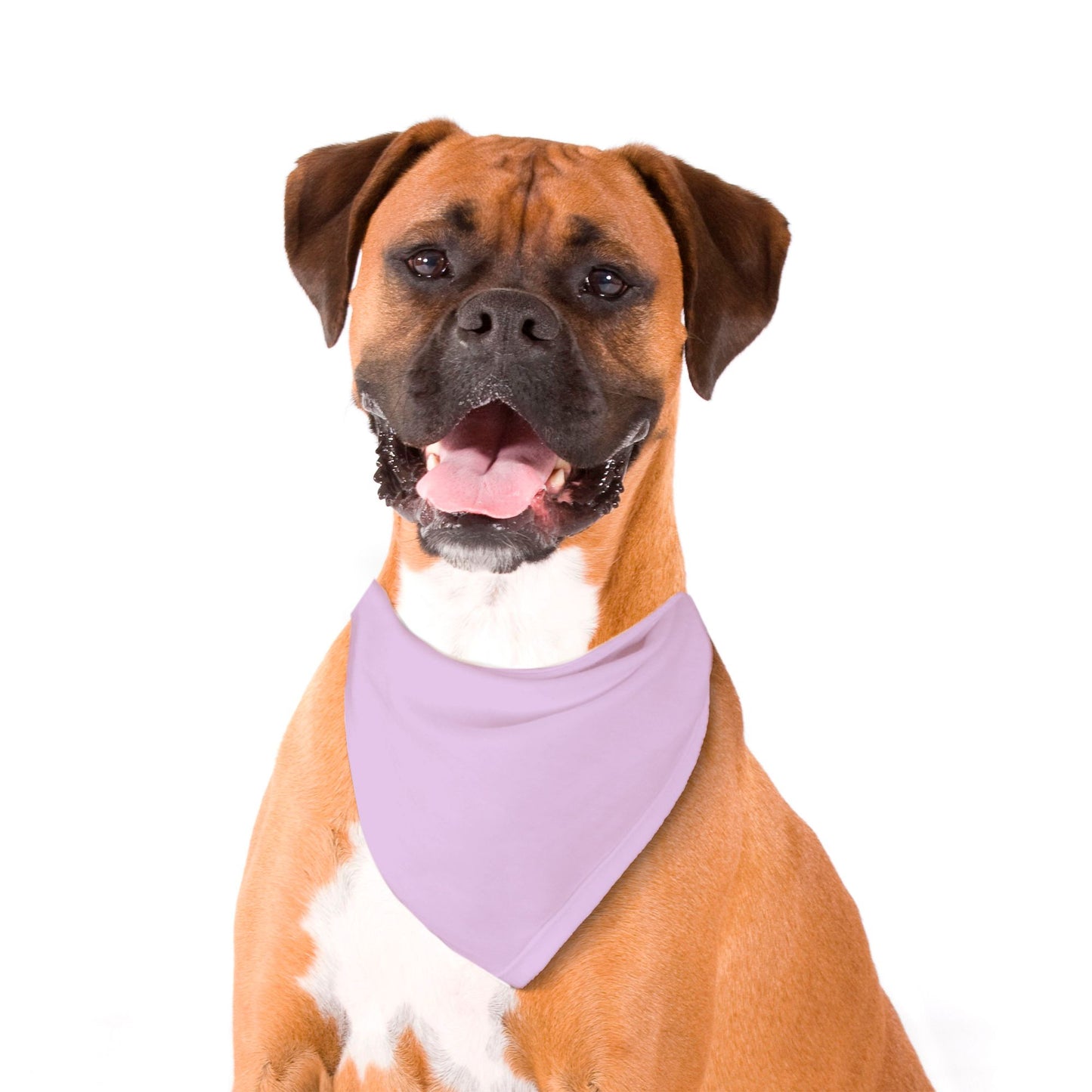 Solid Lilac Dog Bandana - Apawry Pup