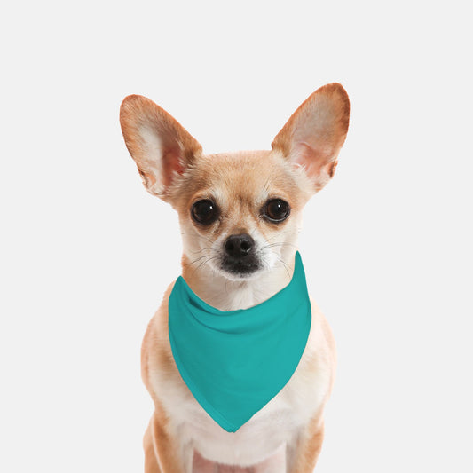 Solid Teal Dog Bandana - Apawry Pup