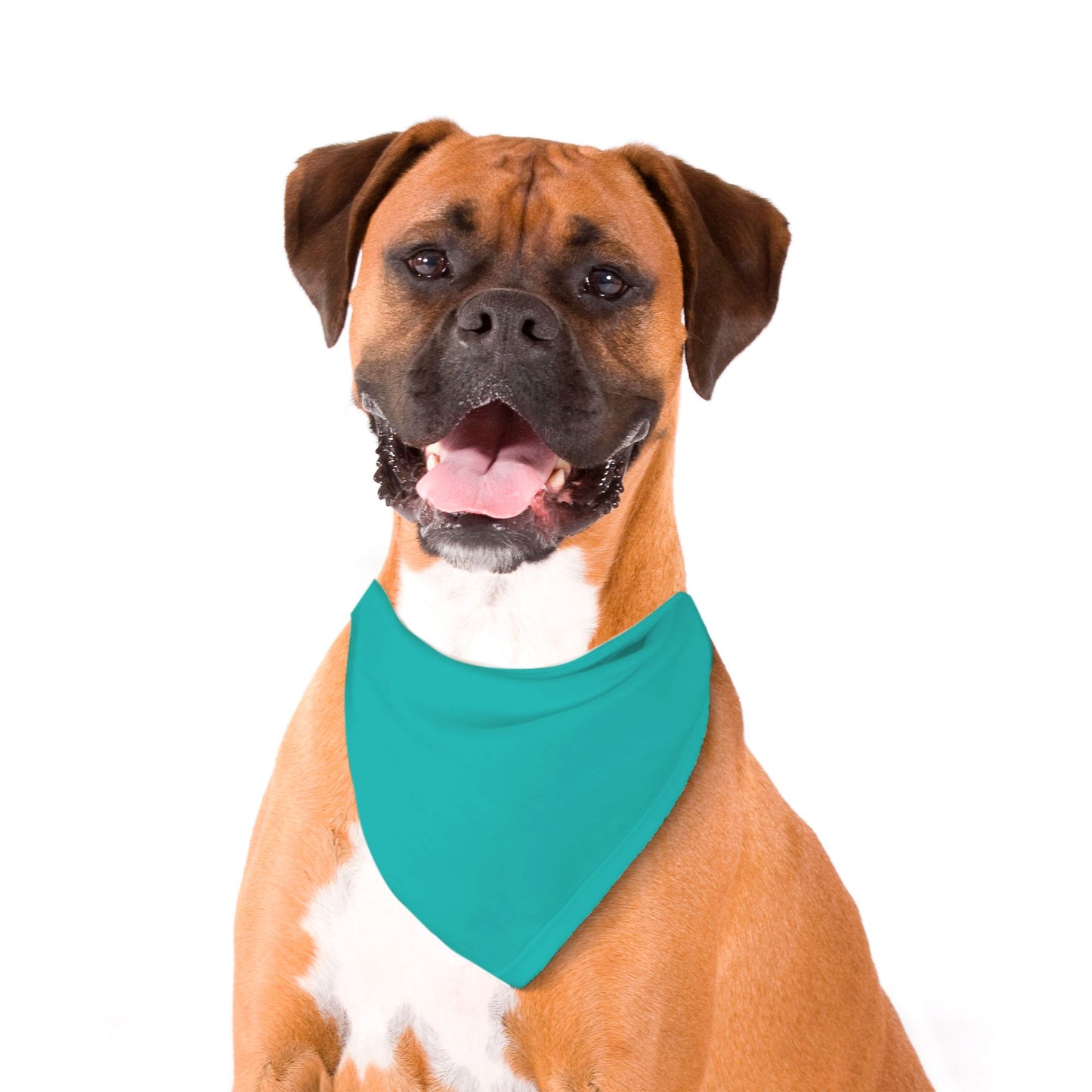 Solid Teal Dog Bandana - Apawry Pup