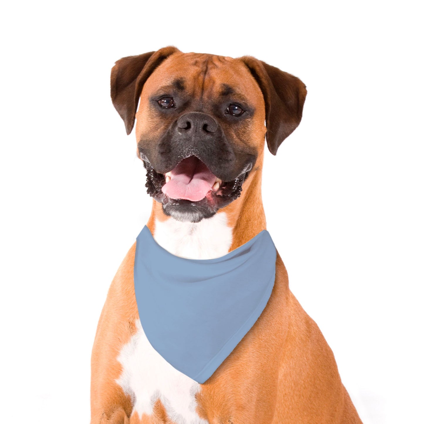 Solid Pastel Indigo Dog Bandana - Apawry Pup