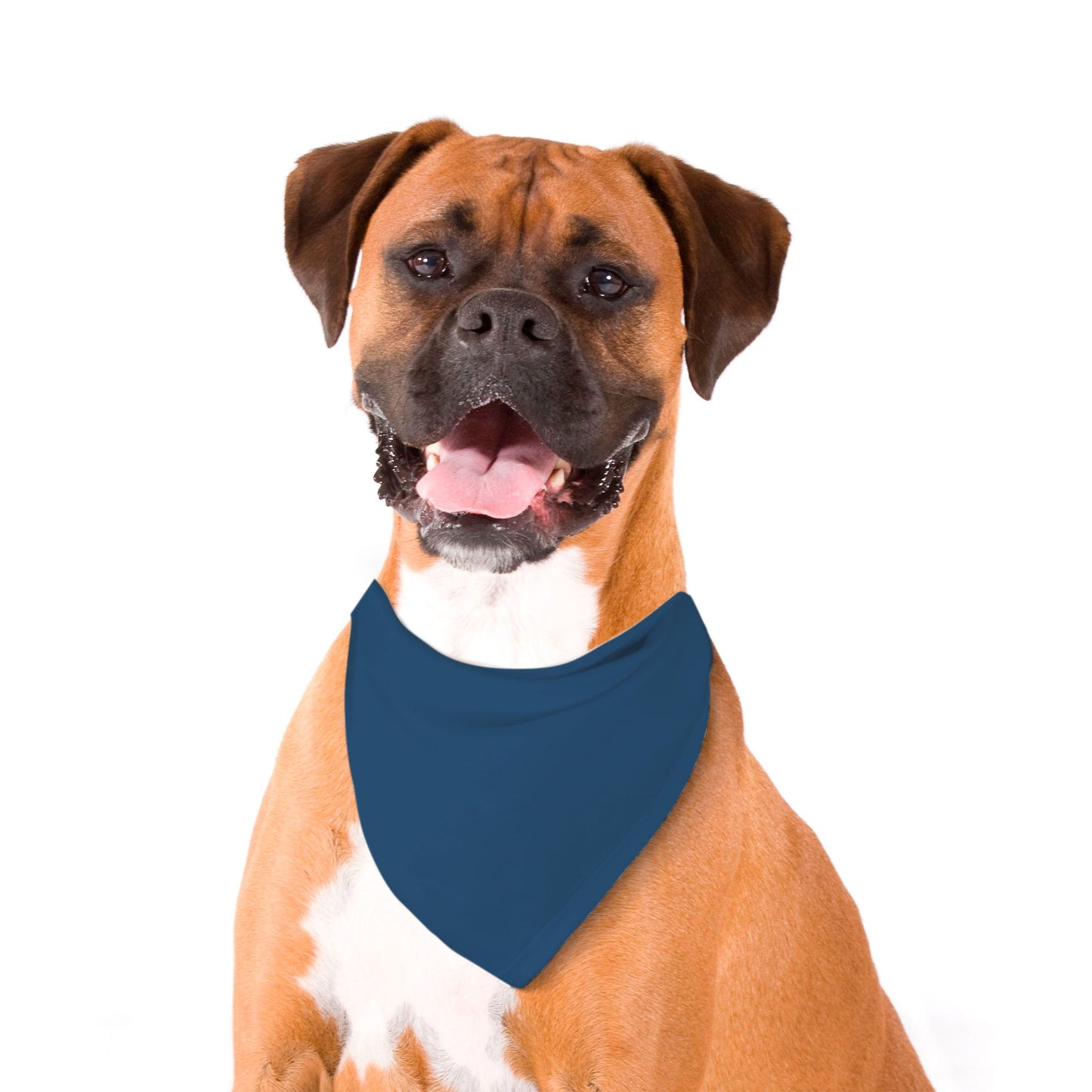 Solid Navy Blue Dog Bandana - Apawry Pup