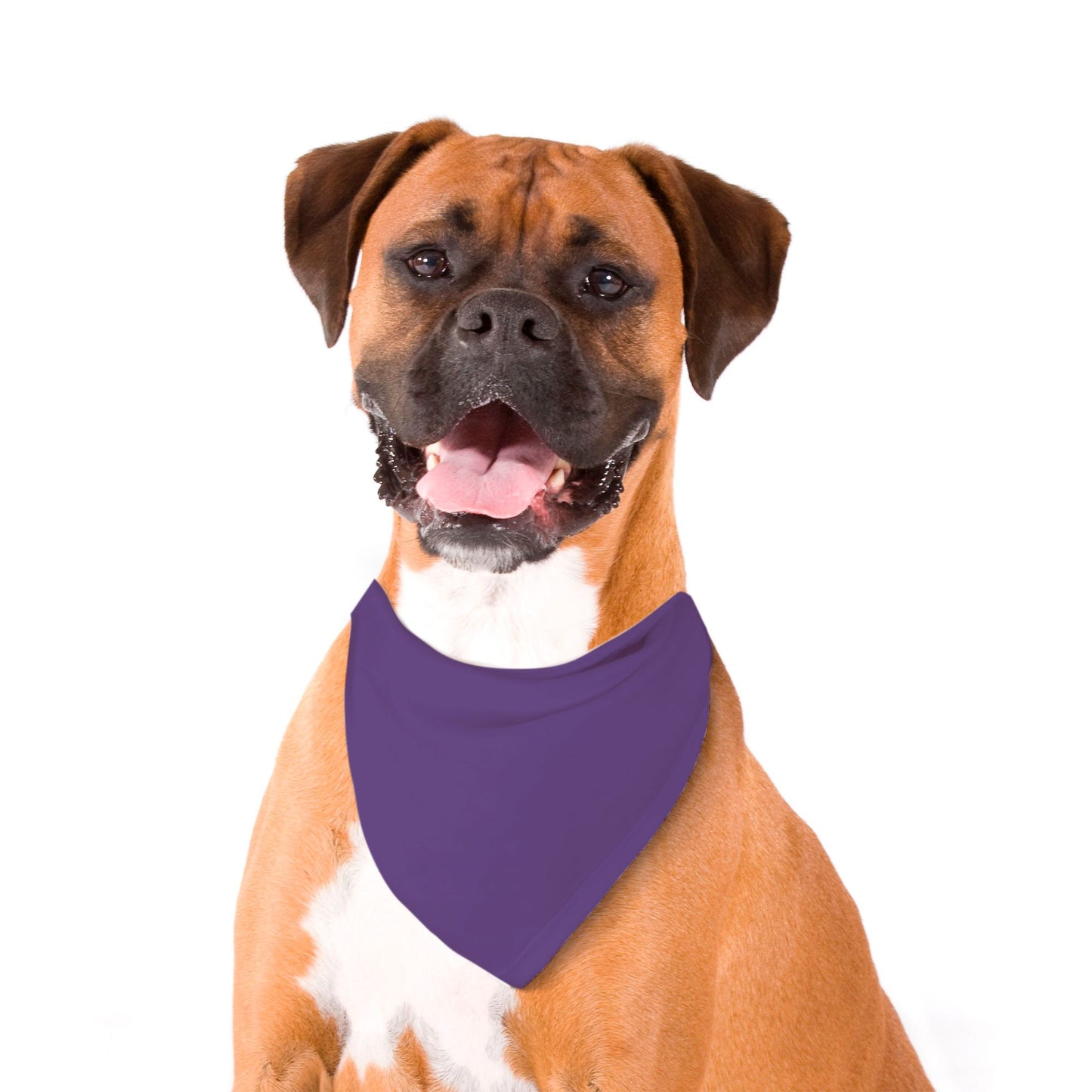 Solid Grape Dog Bandana - Apawry Pup