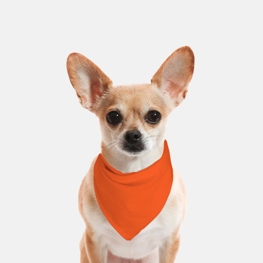 Solid Tangerine Dog Bandana - Apawry Pup