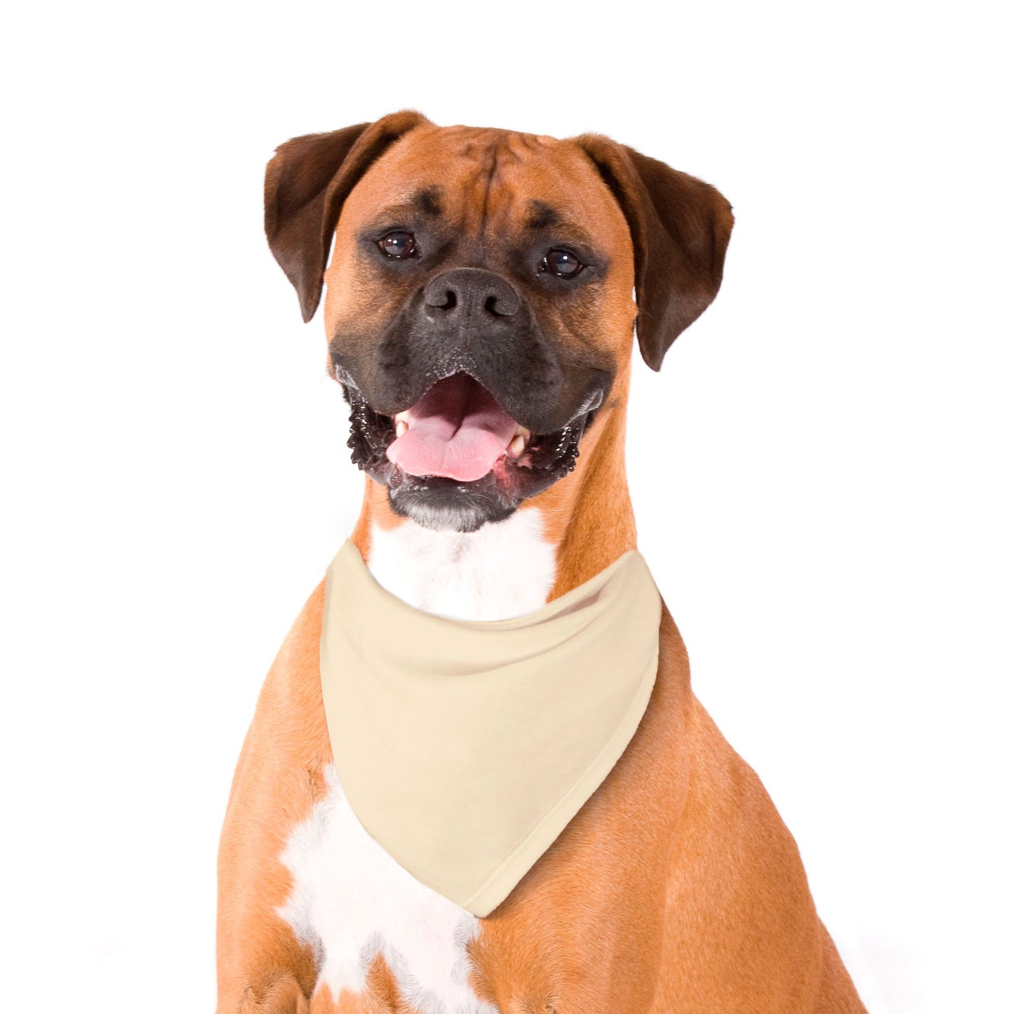 Solid Cream Dog Bandana - Apawry Pup