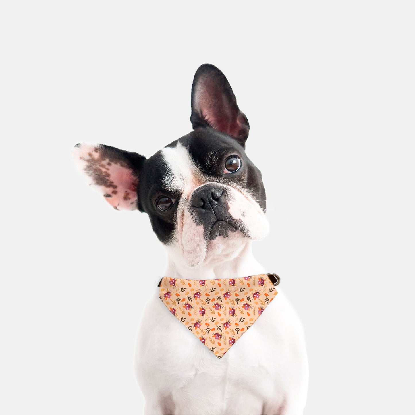 Fall Bouquets Adjustable Collar Dog Bandana - Apawry Pup