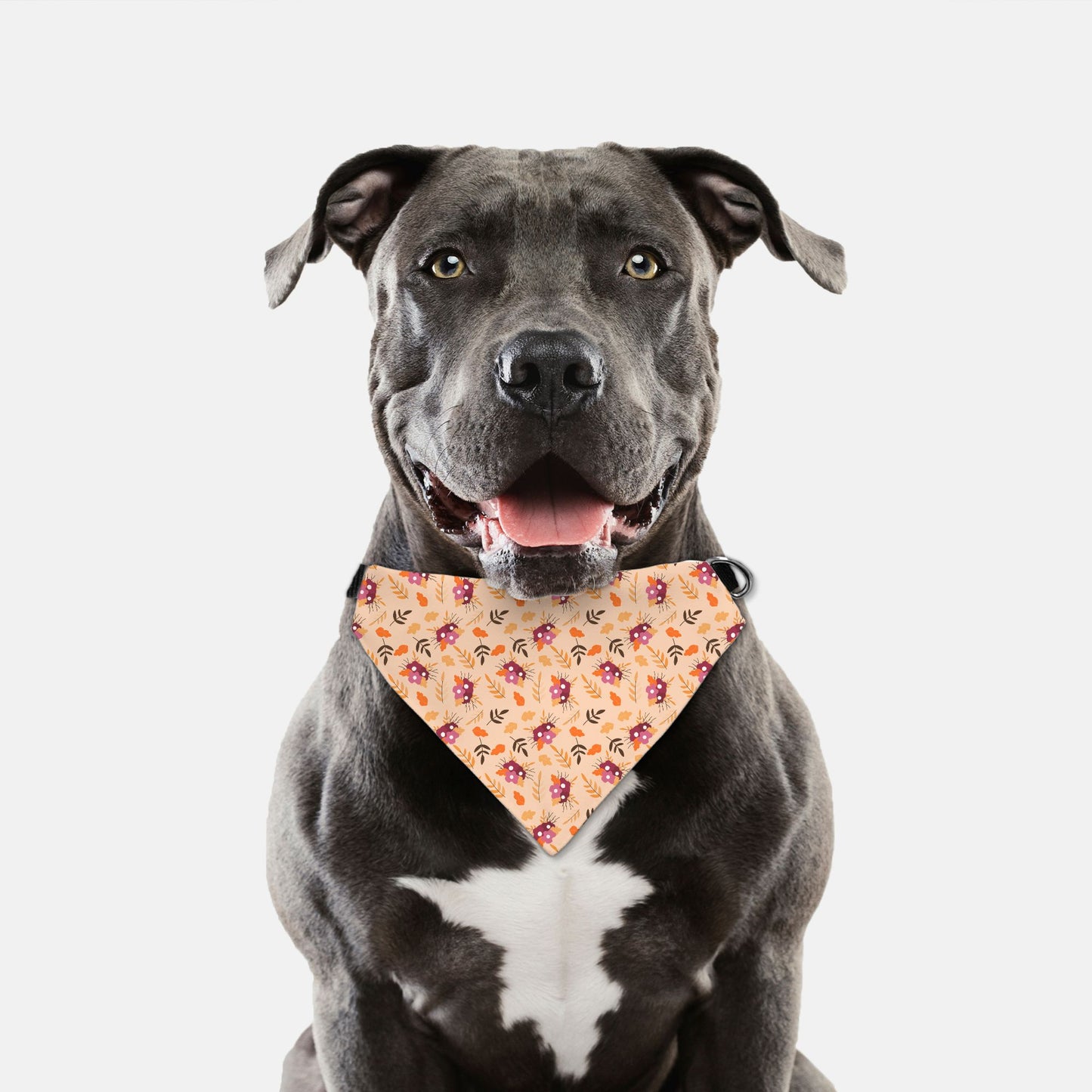 Fall Bouquets Adjustable Collar Dog Bandana - Apawry Pup