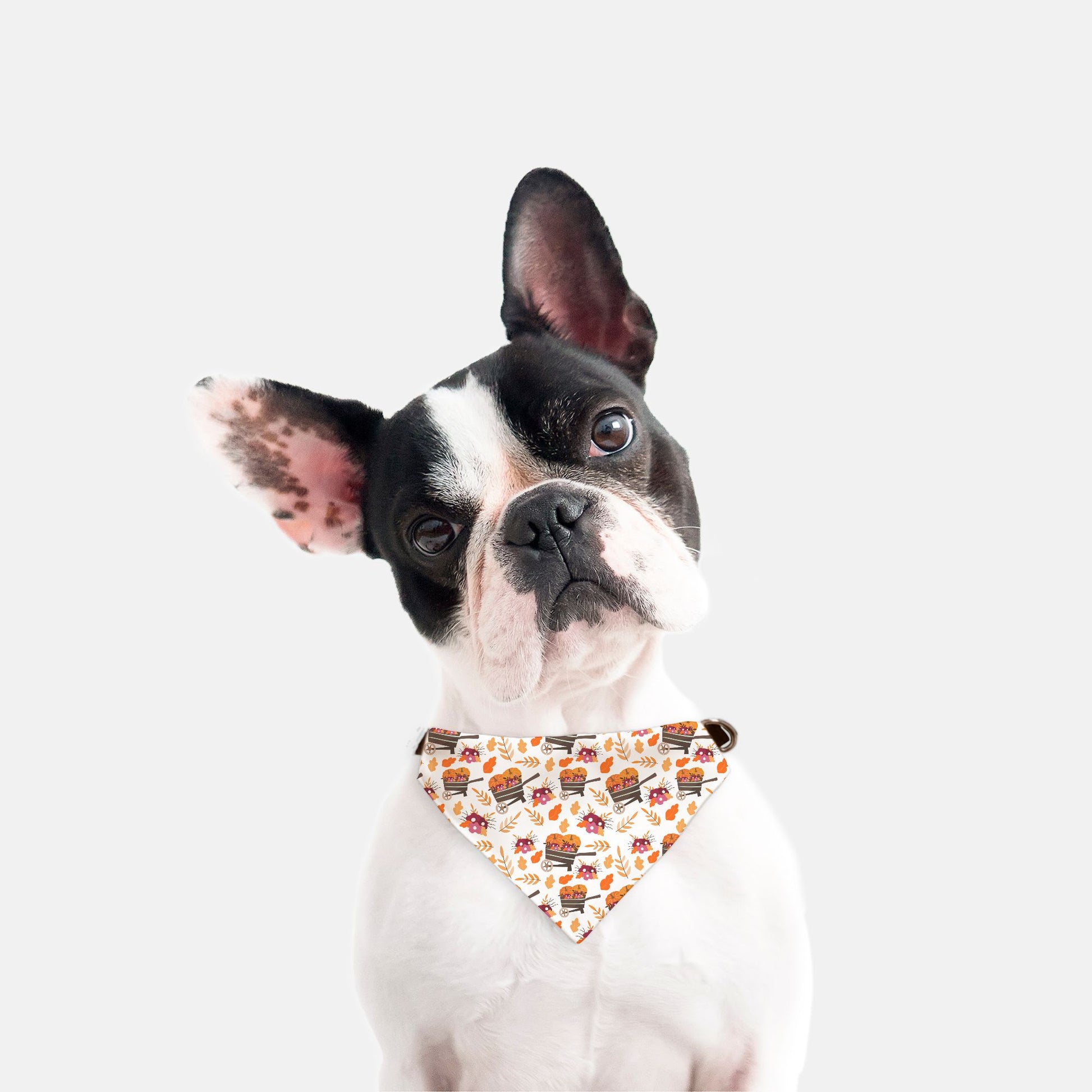 Fall Pumpkin Patch Adjustable Collar Dog Bandana - Apawry Pup