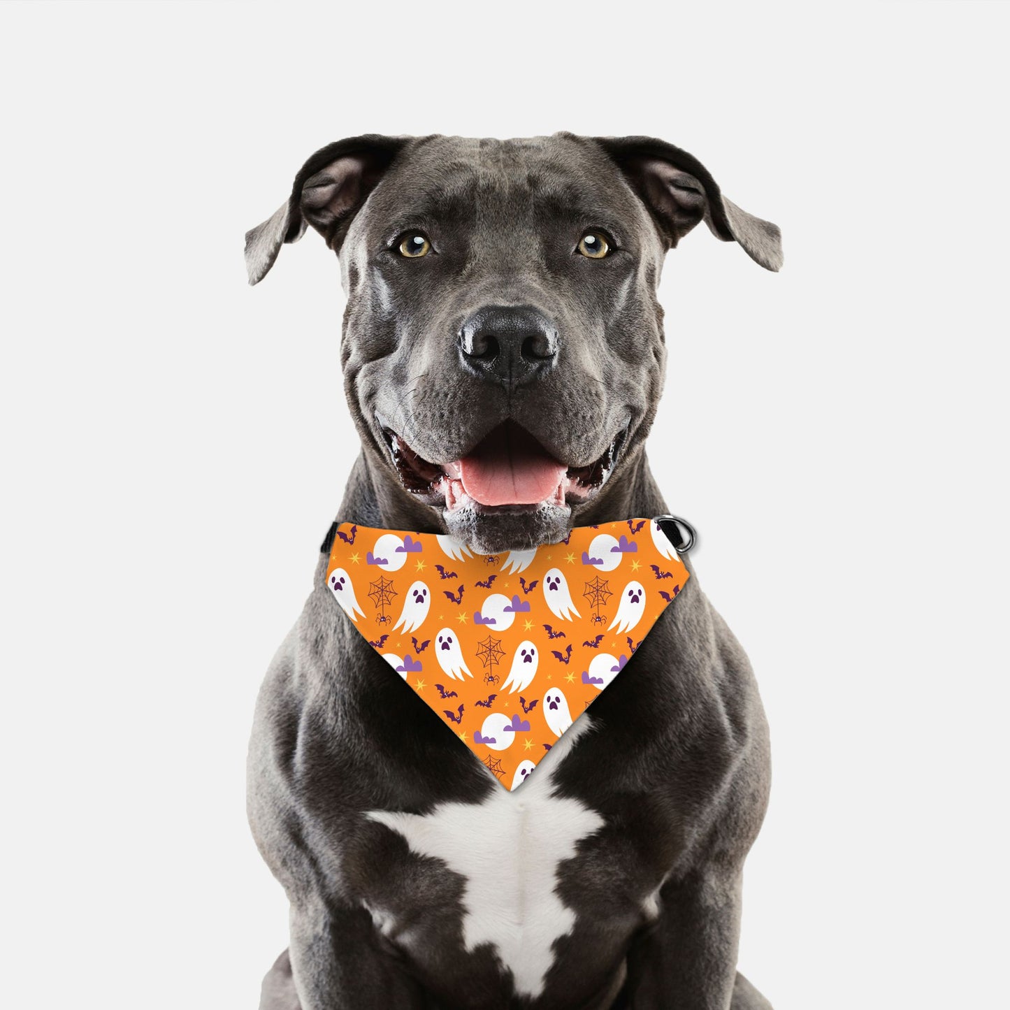 Halloween Boo Adjustable Collar Dog Bandana - Apawry Pup