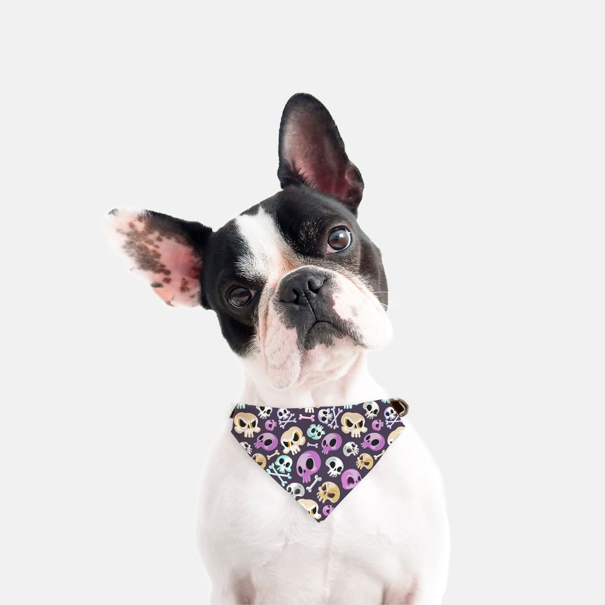 Halloween Skulls Adjustable Collar Dog Bandana - Apawry Pup