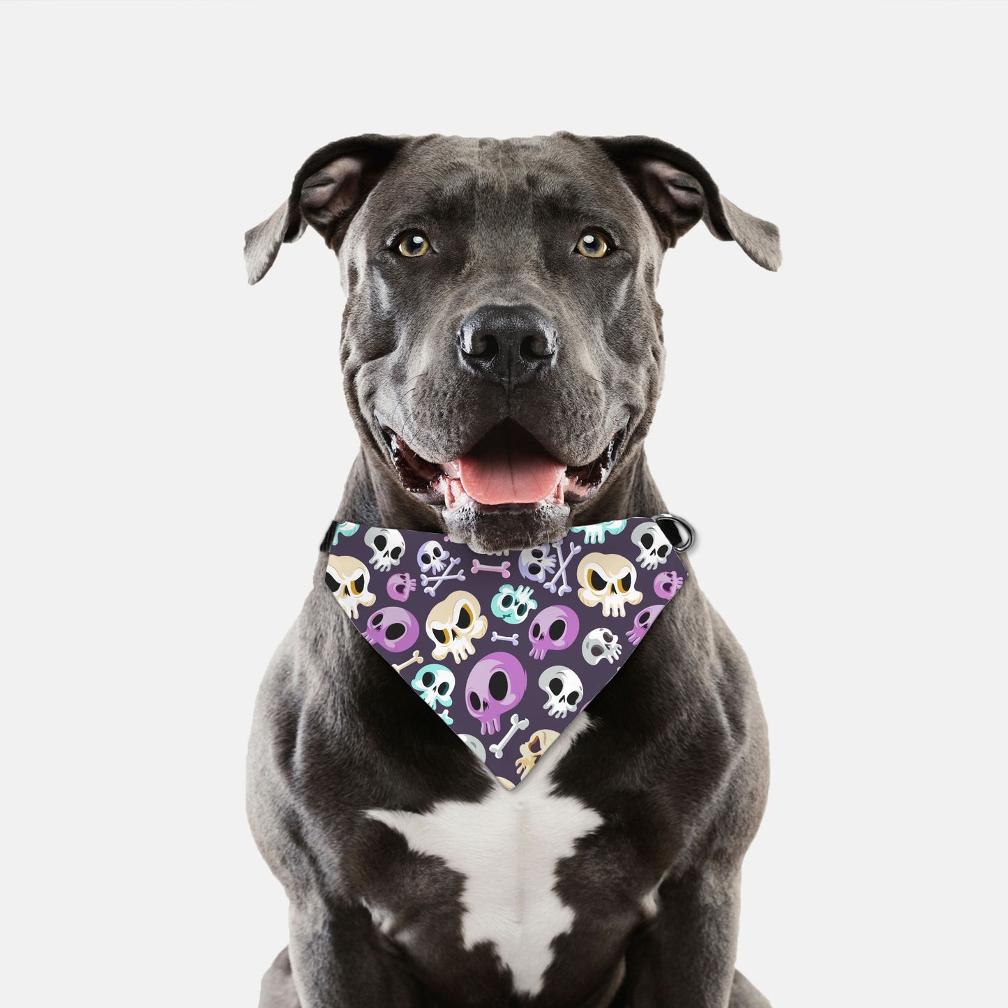 Halloween Skulls Adjustable Collar Dog Bandana - Apawry Pup