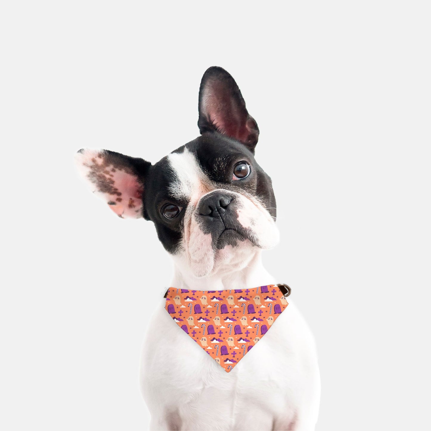 Halloween Graveyard Adjustable Collar Dog Bandana - Apawry Pup