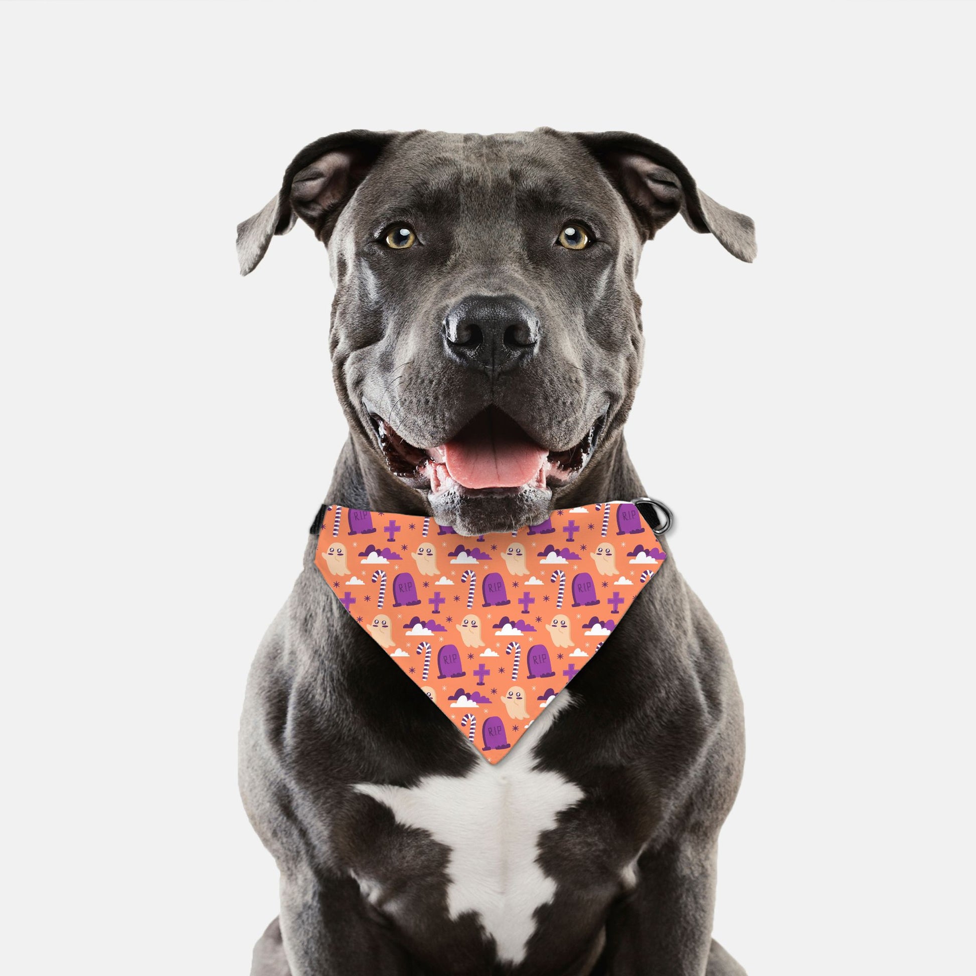 Halloween Graveyard Adjustable Collar Dog Bandana - Apawry Pup