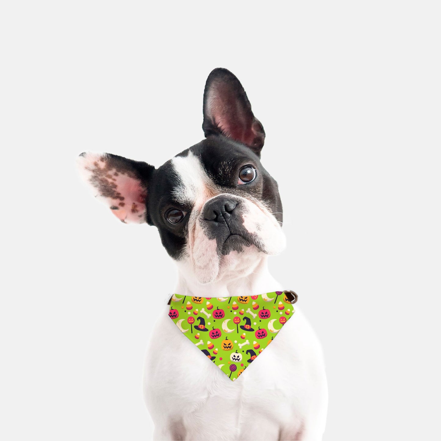 Halloween Trick or Treat Adjustable Collar Dog Bandana - Apawry Pup