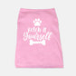 Fetch It Yourself Dog Shirt - Apawry Pup