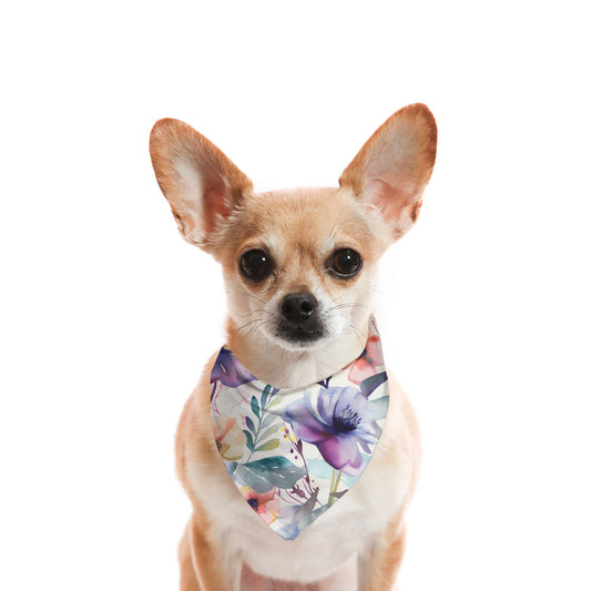 Floral Tropical Berry Watercolour Dog Bandana - Apawry Pup