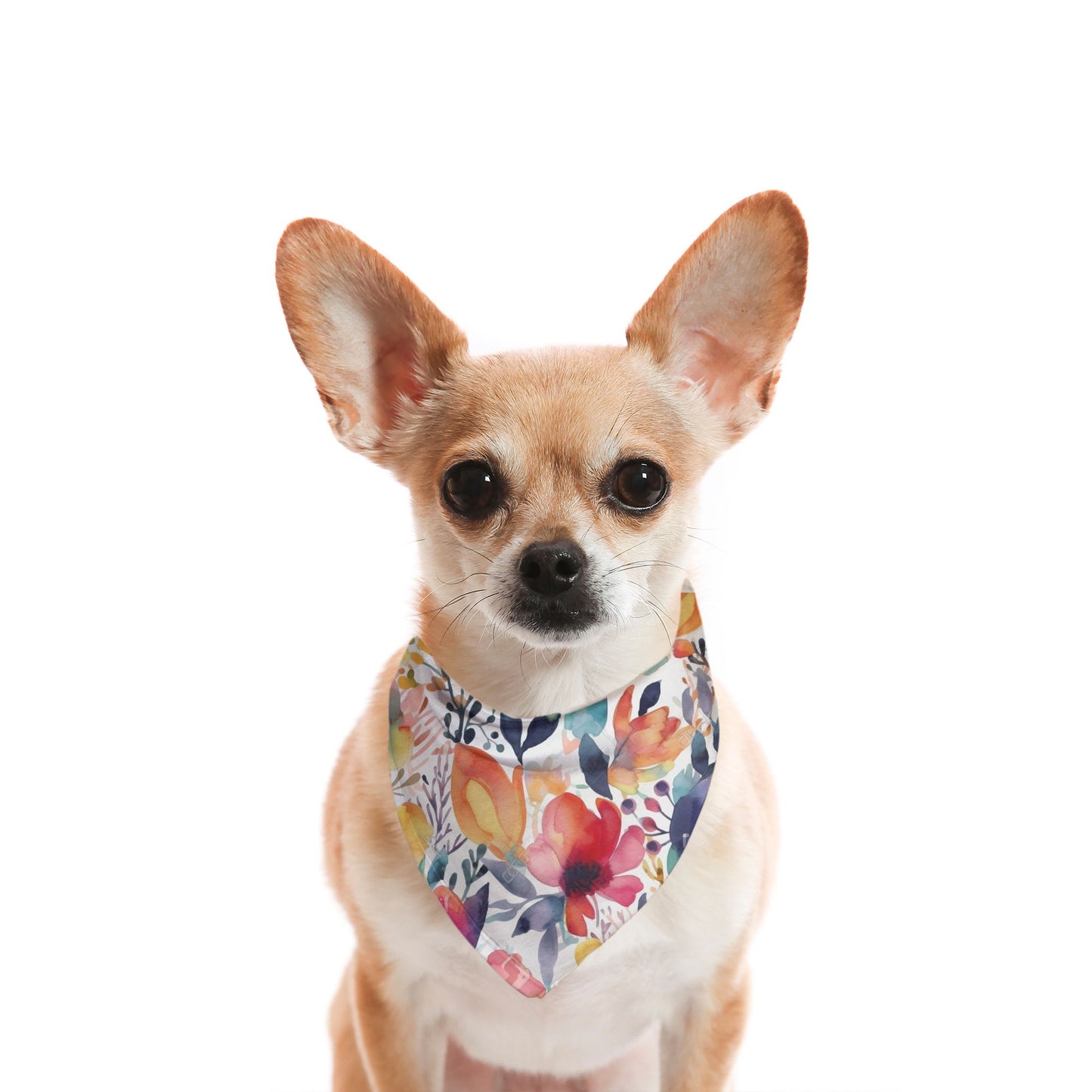 Floral Medley Watercolour Dog Bandana - Apawry Pup