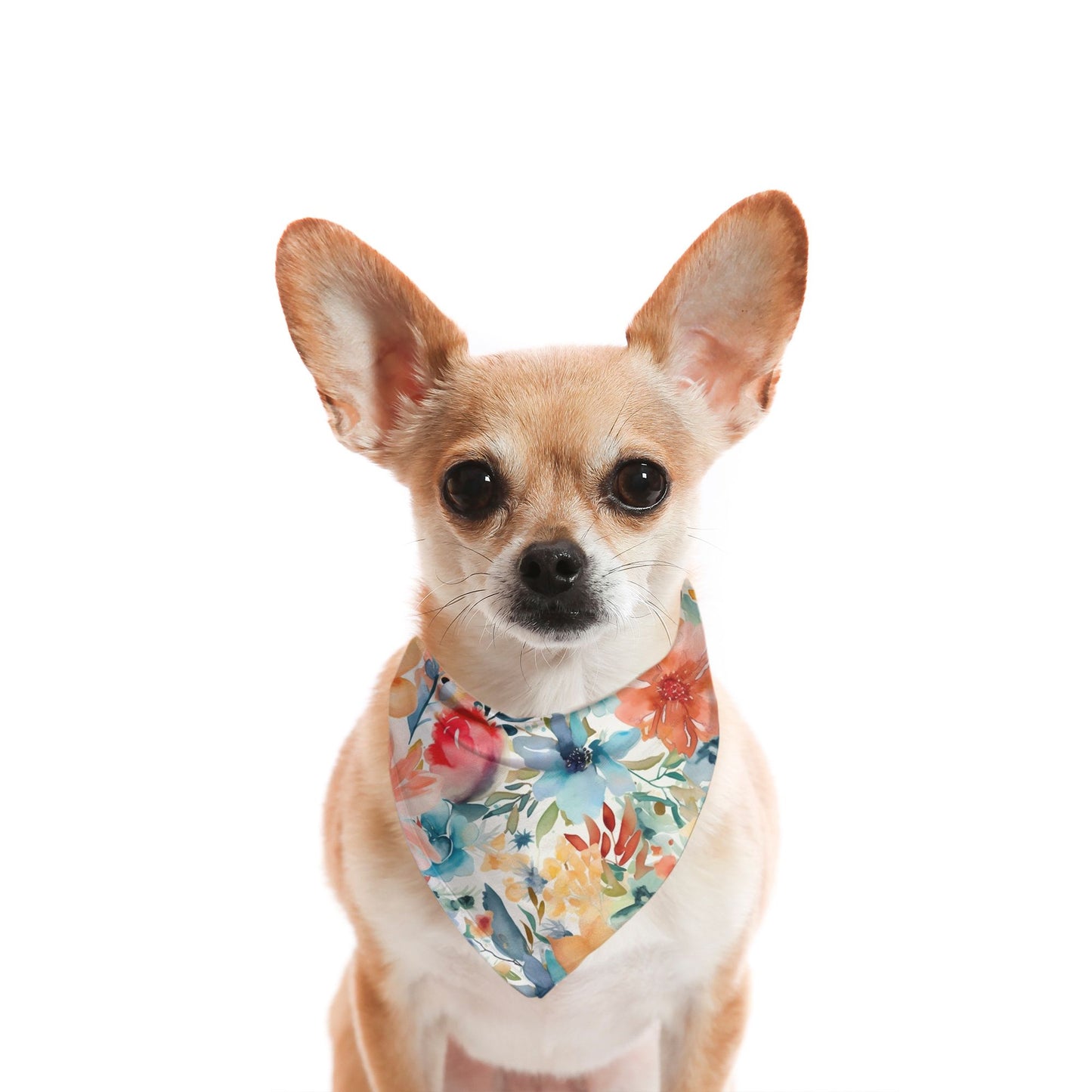 Floral Tangerine Aqua Watercolour Dog Bandana - Apawry Pup