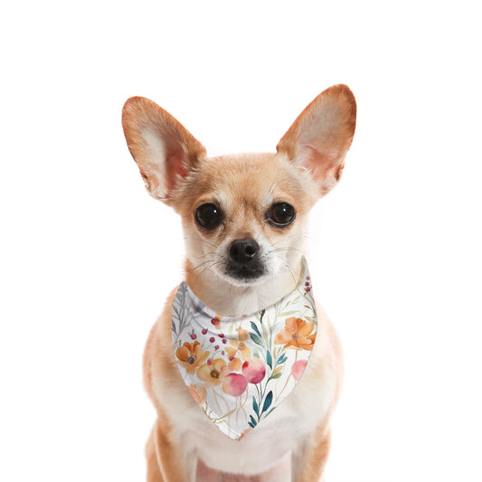 Floral Daybreak Watercolour Dog Bandana - Apawry Pup