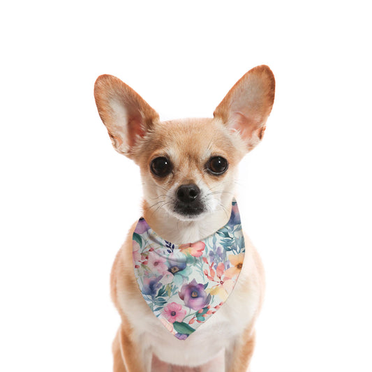 Floral Meadows Watercolour Dog Bandana - Apawry Pup