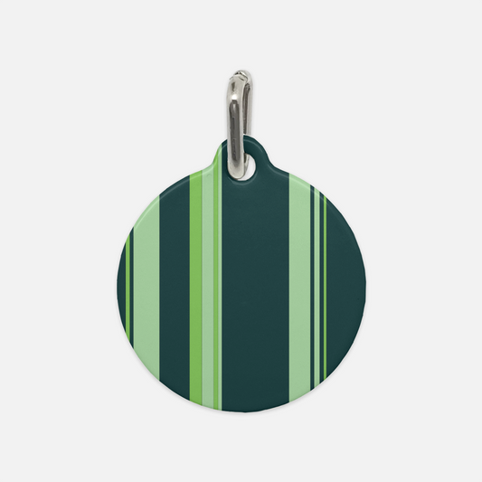 Turquoise Mint & Lime Green Stripes Dog Tag - Apawry Pup